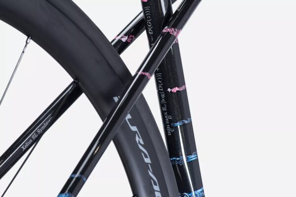 Lapierre Xelius XL 10.0 Edition Symbiosis