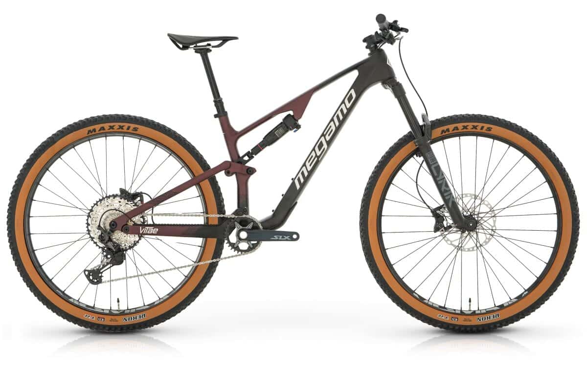 megamo vitae 20 2024