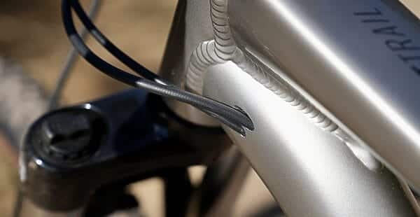 marin bobcat trail 3 2025