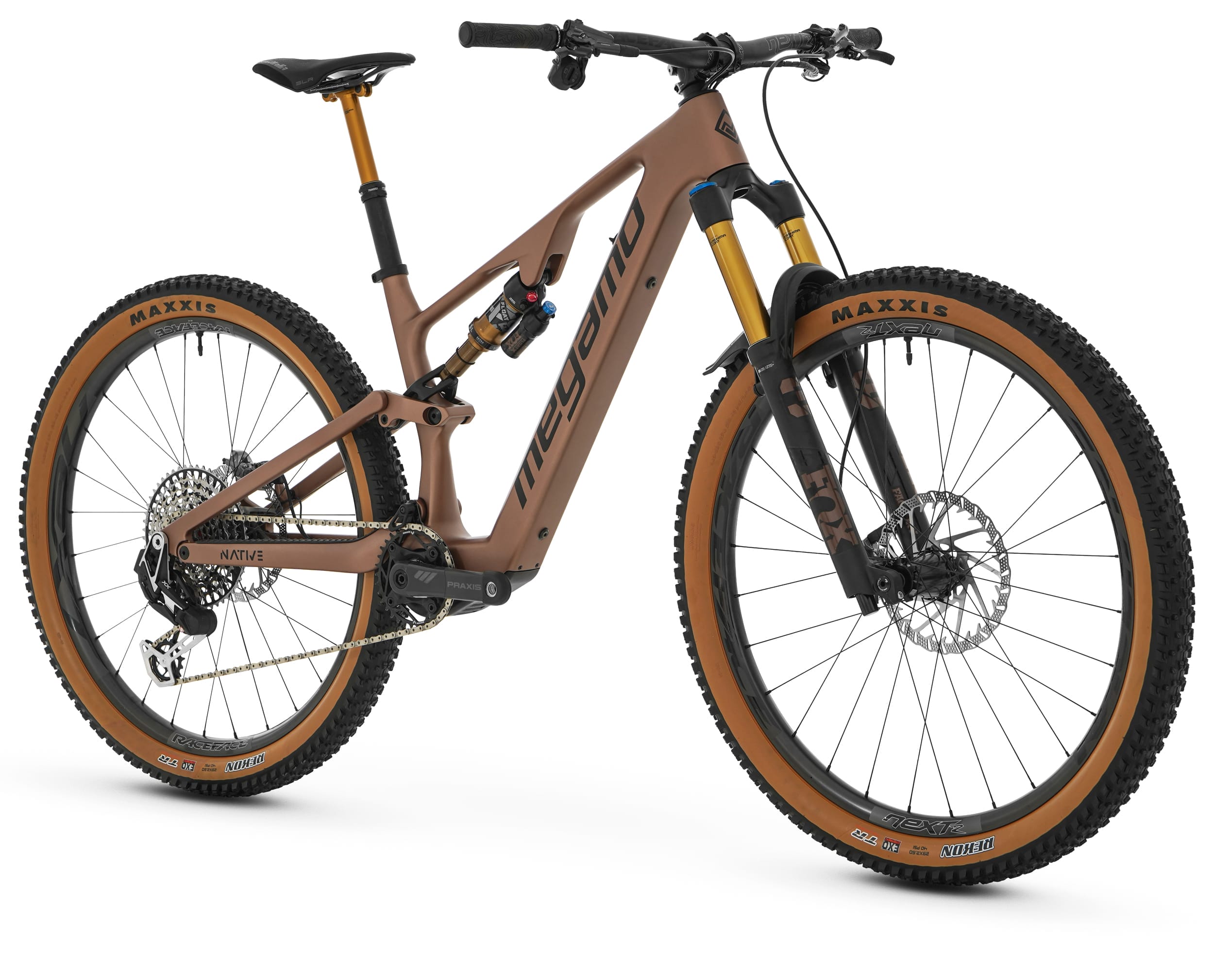 megamo native 10 2024 (copie)