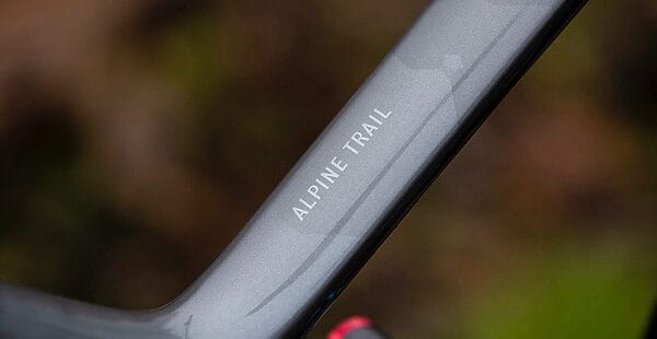 marin alpine trail carbon 2 2024