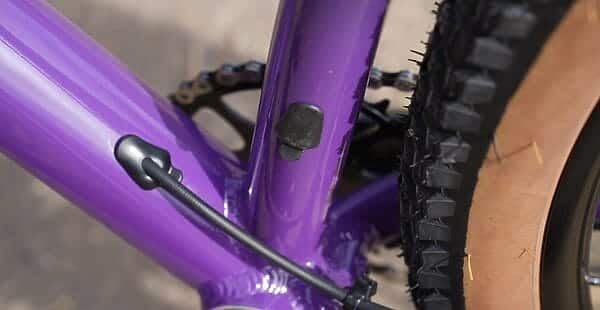 marin bobcat trail 5 2025 (copie)