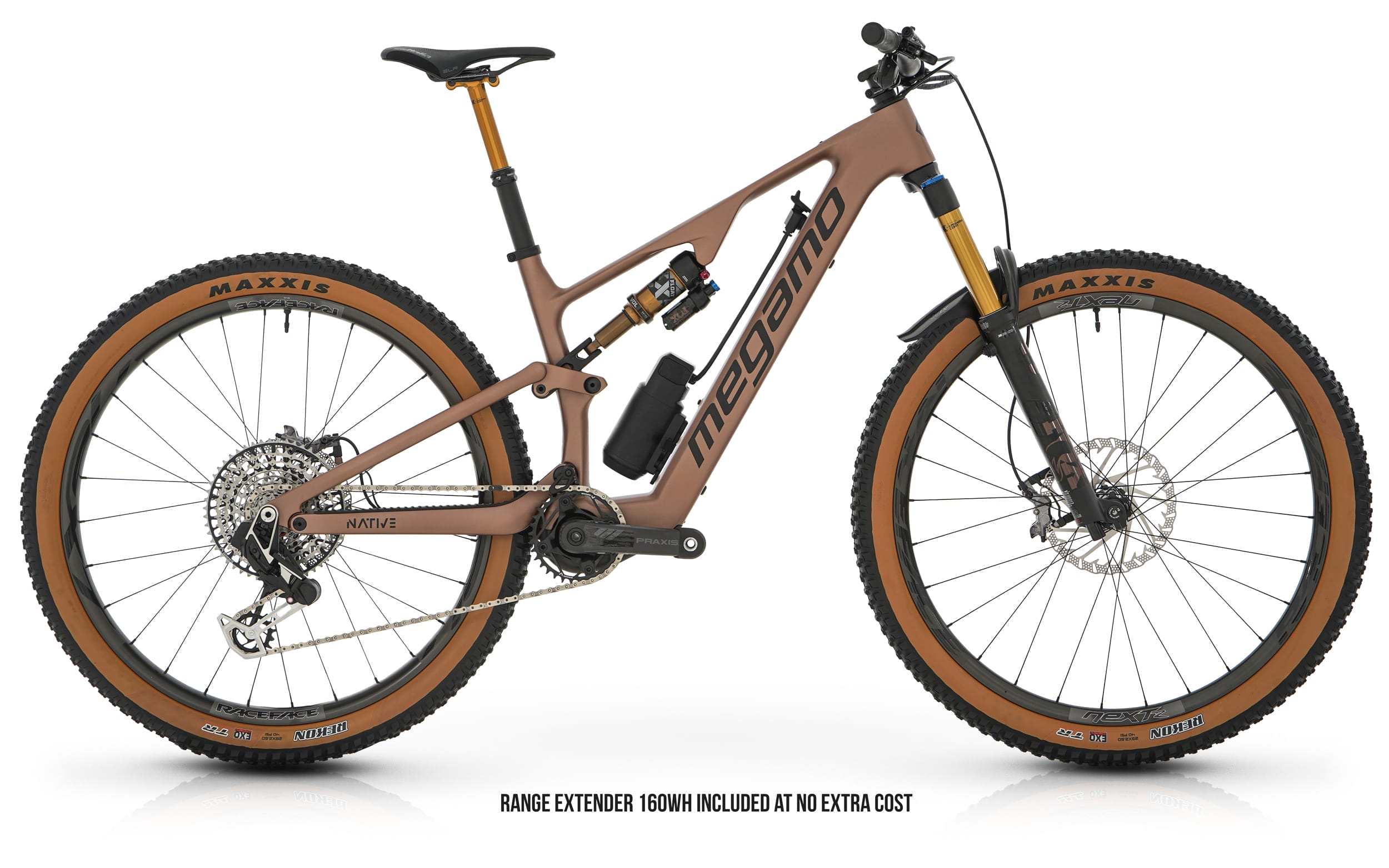 megamo native 10 2024 (copie)