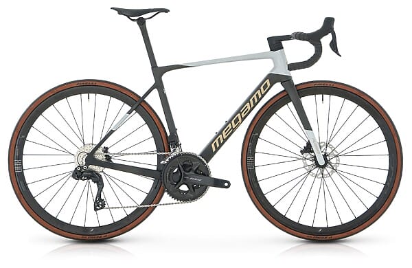 megamo raise 15 2025