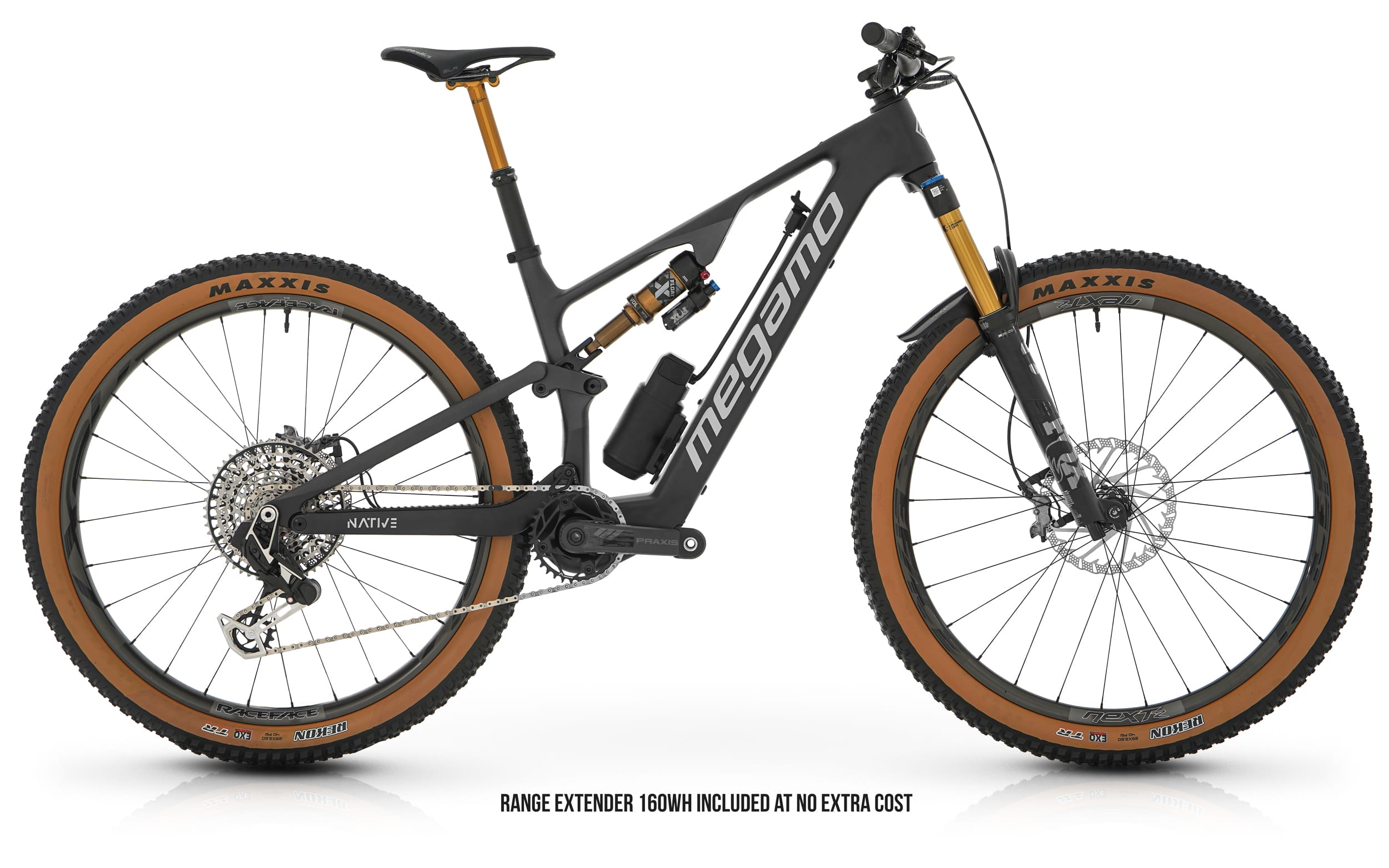 megamo native 10 2024 (copie)