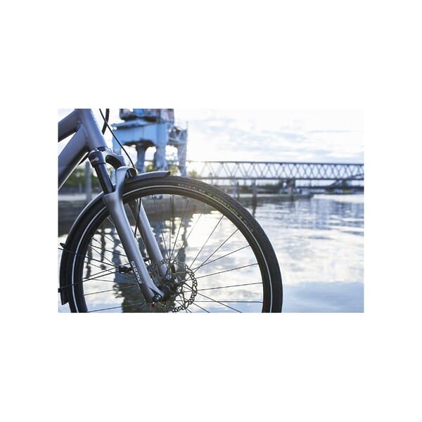 pneu vtt schwalbe marathon e plus e 50 hs498