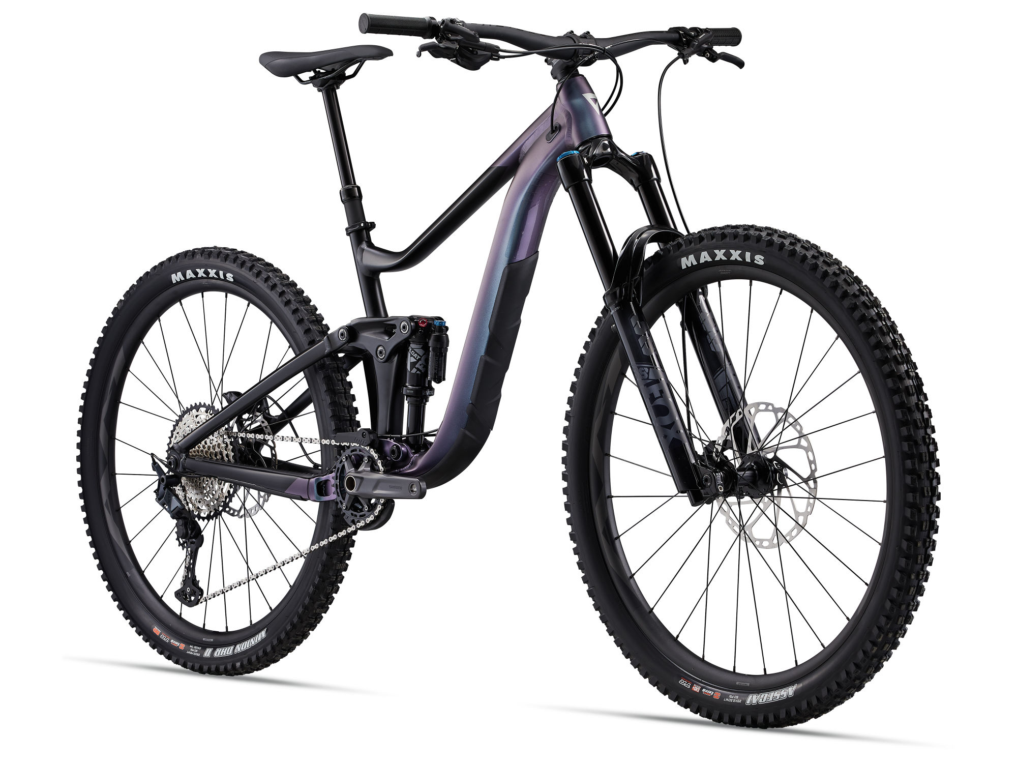 giant reign 1 2024