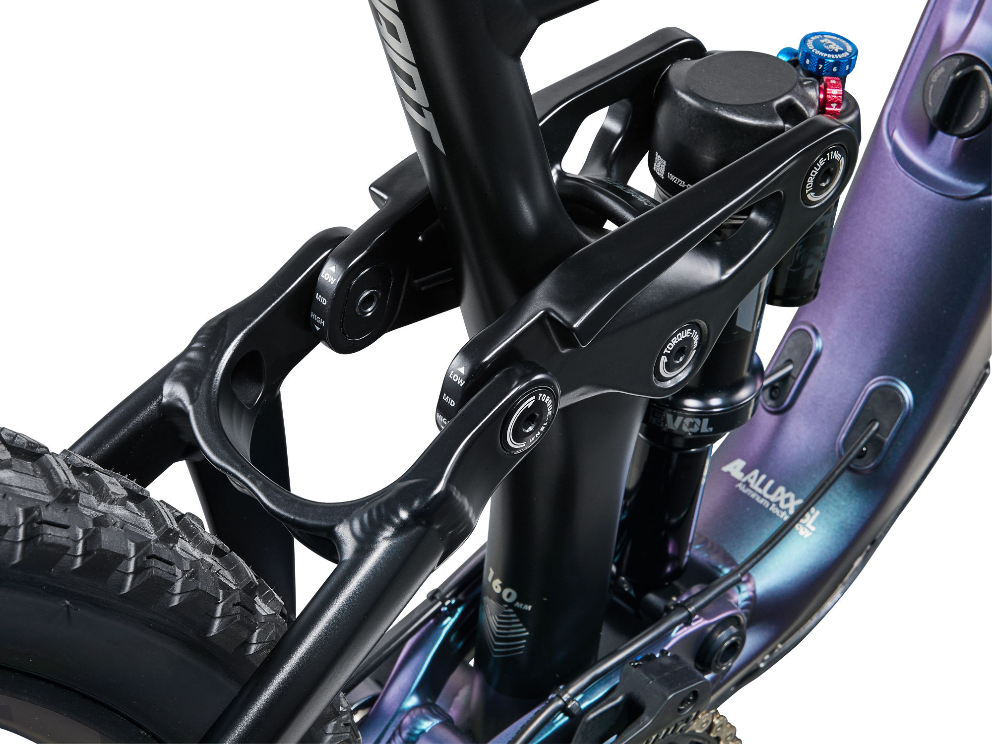 giant reign 1 2024