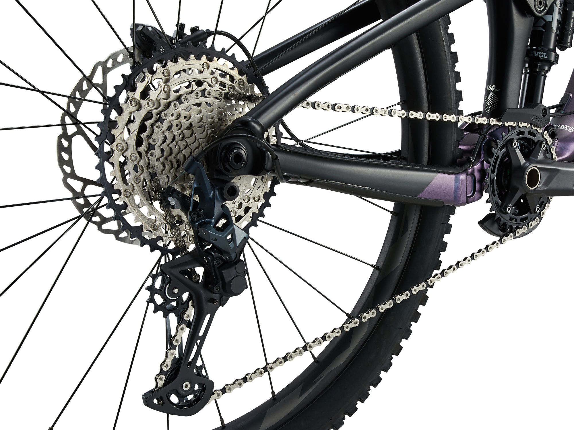 giant reign 1 2024