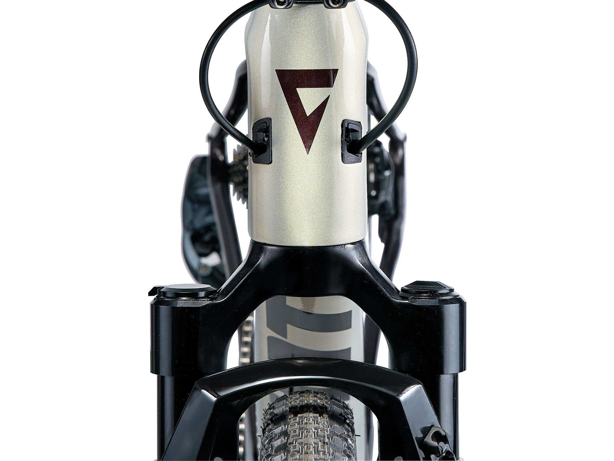 giant revolt x advanced pro 1 2024